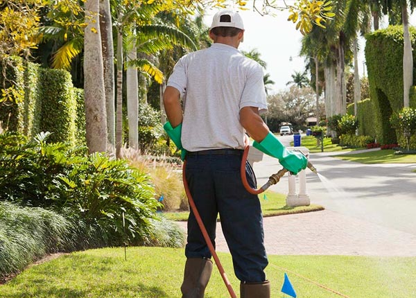 About Put In Bay OH Pest Control